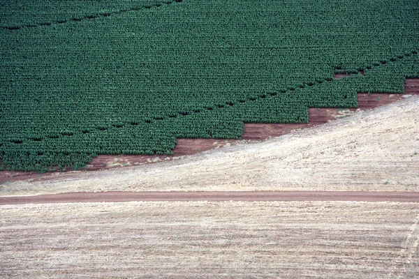 Luchtfoto landschap met landelijke veld — Stockfoto