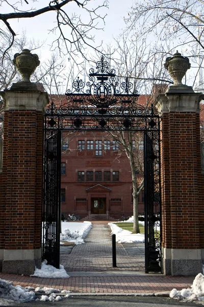 Ingresso al campus di Harvard — Foto Stock