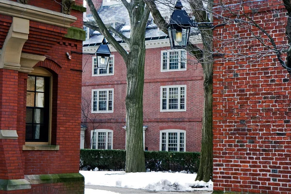 Campus di Harvard — Foto Stock