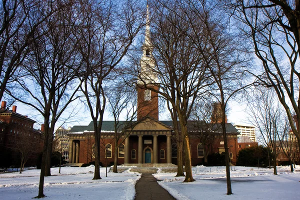 Harvard campus — Stock Photo, Image