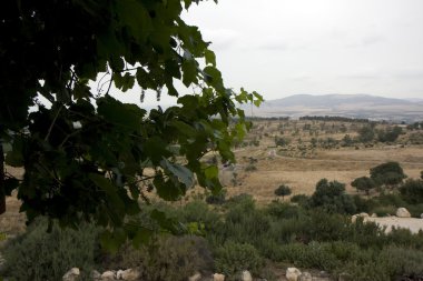 Sıcak hava balonu sepeti