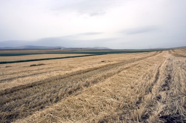 kırsal alan ile peyzaj