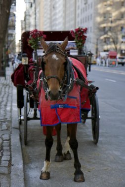 new York'ta ışık