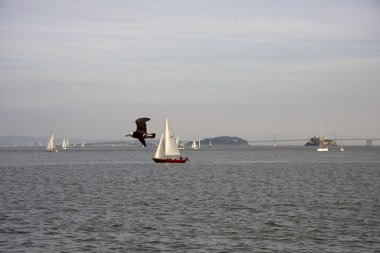 San Francisco Golden Gate Köprüsü