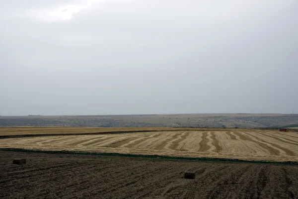 stock image Landscape with rural field