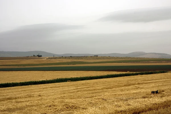 stock image Landscape with rural field