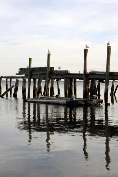 Vista na baía de Provincetown — Fotografia de Stock