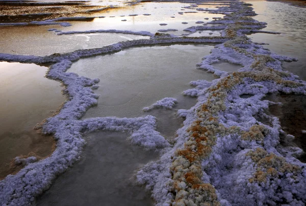 Мертве море сіль і вода — стокове фото