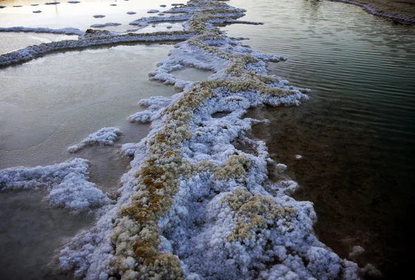 Мертвая морская соль и вода — стоковое фото