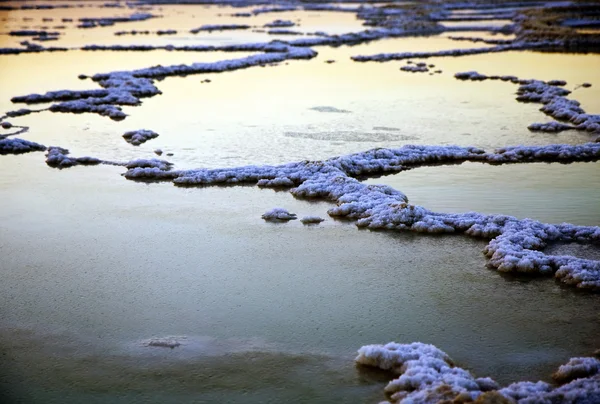 Ölü deniz tuzu ve su — Stok fotoğraf