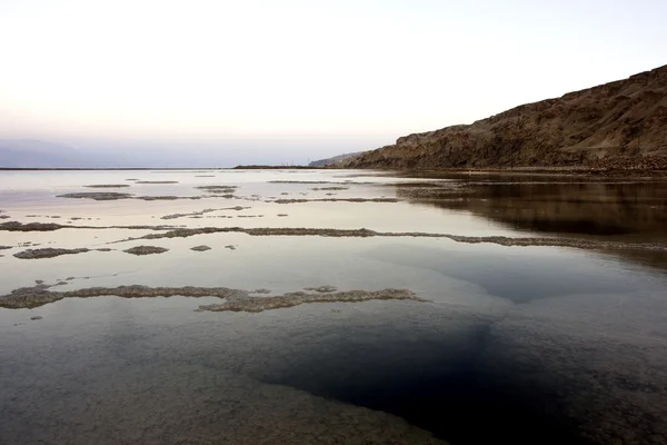 stock image Dead sea salt and water