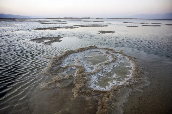 stock image Dead sea salt and water