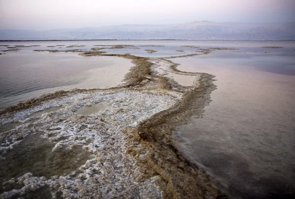 Sal y agua del mar Muerto —  Fotos de Stock