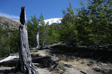 Torres Del Paine.