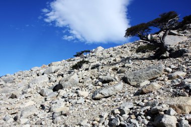 Torres Del Paine.