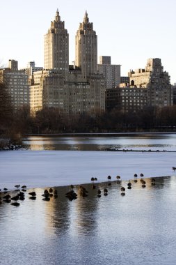 new York'ta gölet