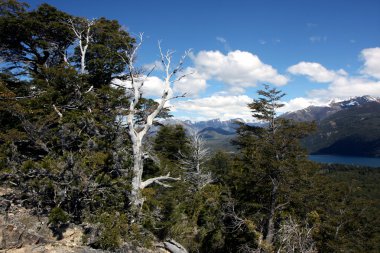 Bariloche manzaraya