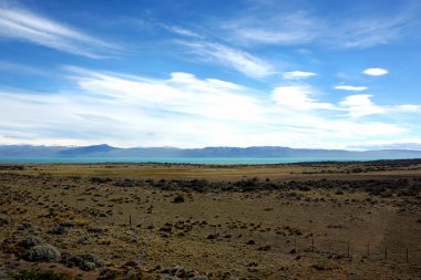 el calafate görünümü