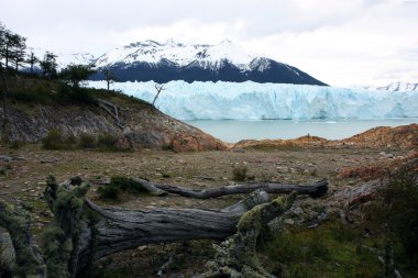 perito moreno Buzulu