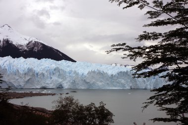 perito moreno Buzulu