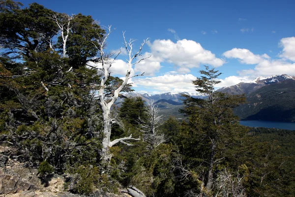 View at Bariloche — Stock Photo, Image