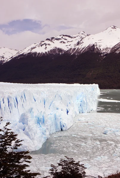 Ledovec perito moreno — Stock fotografie