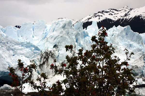 贝利托莫雷诺冰川 — 图库照片