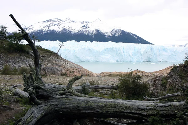Glacier Perito Moreno — Stock Photo, Image