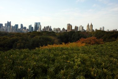New York 'taki Central Park
