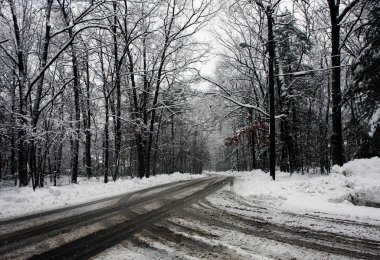 karlı bir ormanda yol