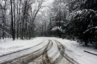 karlı bir ormanda yol