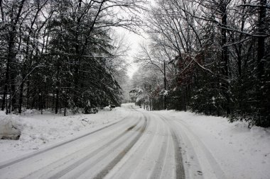 karlı bir ormanda yol