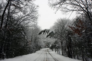 karlı bir ormanda yol