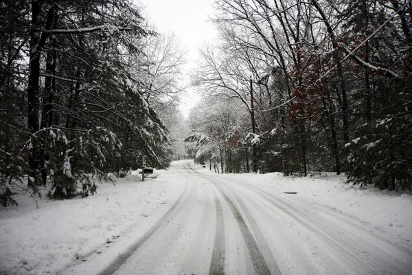 stock image Truck on a road in a snowy forest