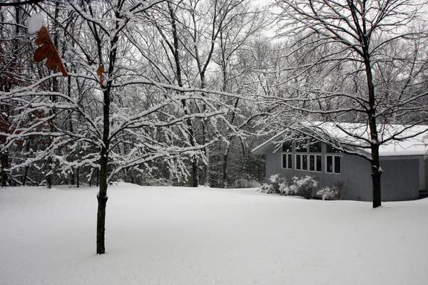 stock image House in snowy forest