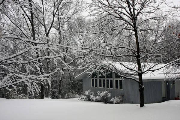 stock image House in snowy forest