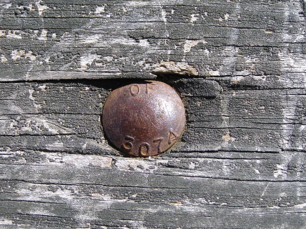 Old wood and bolt head — Stock Photo, Image