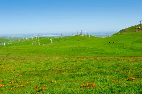 Campo de moinhos de vento — Fotografia de Stock