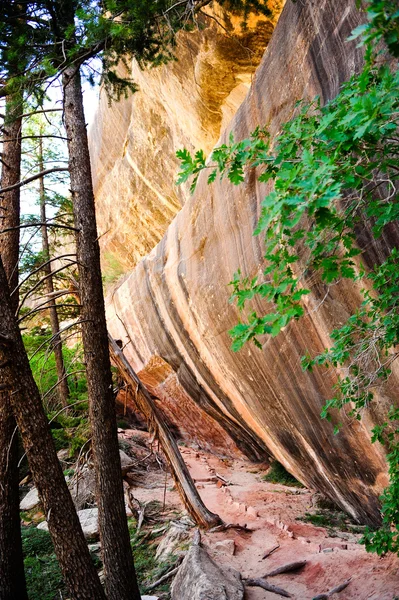 Красочная скальная стена — стоковое фото