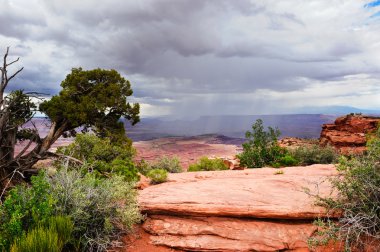 Summer rain storm over the desert clipart