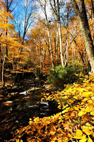 Jour d'automne en Nouvelle-Angleterre — Photo
