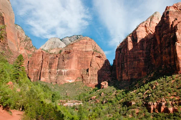 stock image Zion National Park
