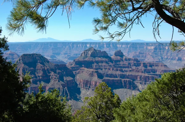 North rim of the grand canyon — Stock Photo, Image