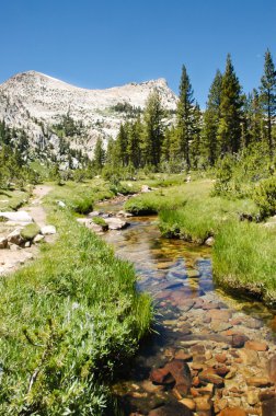 Yosemite Ulusal Parkı