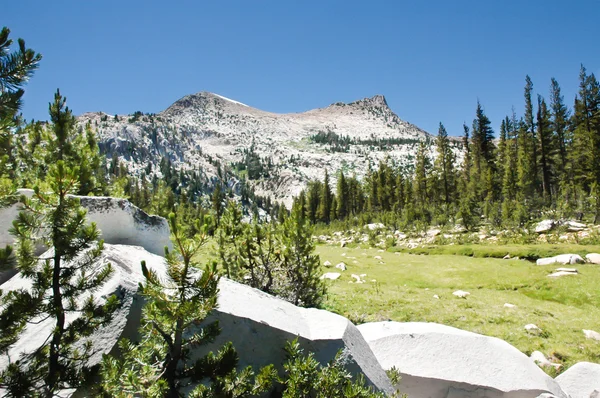 stock image Yosemite National Park