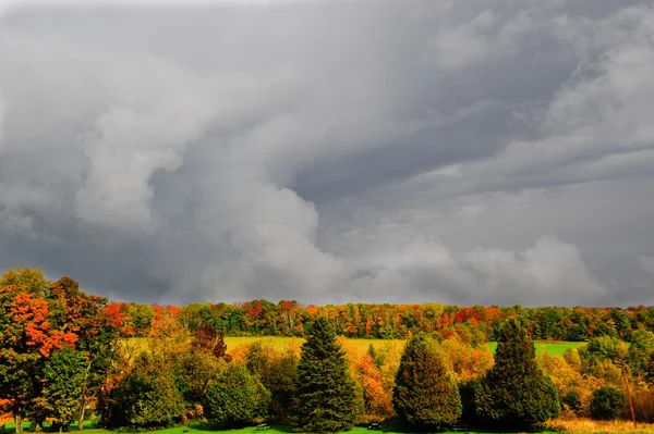 Colores otoño — Foto de Stock