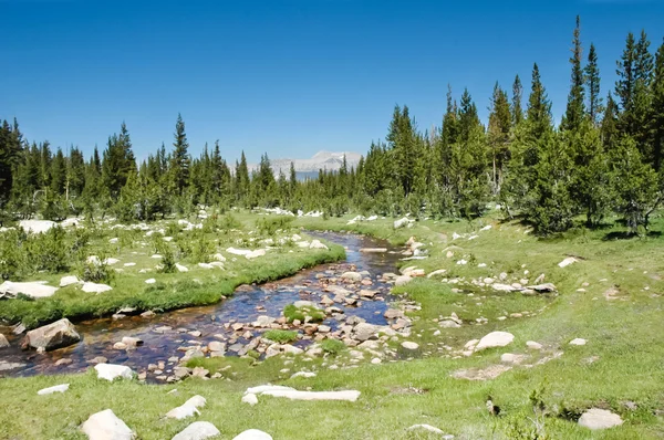 stock image High Sierra Stream