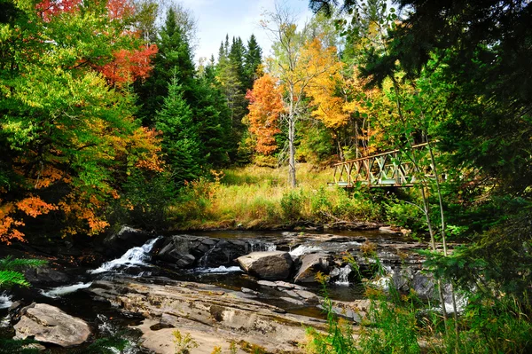 Fall in New England — Stock Photo, Image