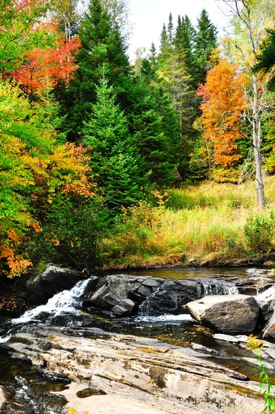 Nueva Inglaterra en el otoño — Foto de Stock