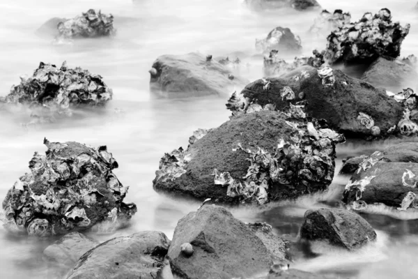 岩石海岸の背景 — ストック写真